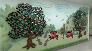 Donor Tree for pediatric unit Donor Tree for pediatric unit