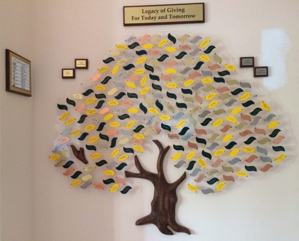 Recognition Tree