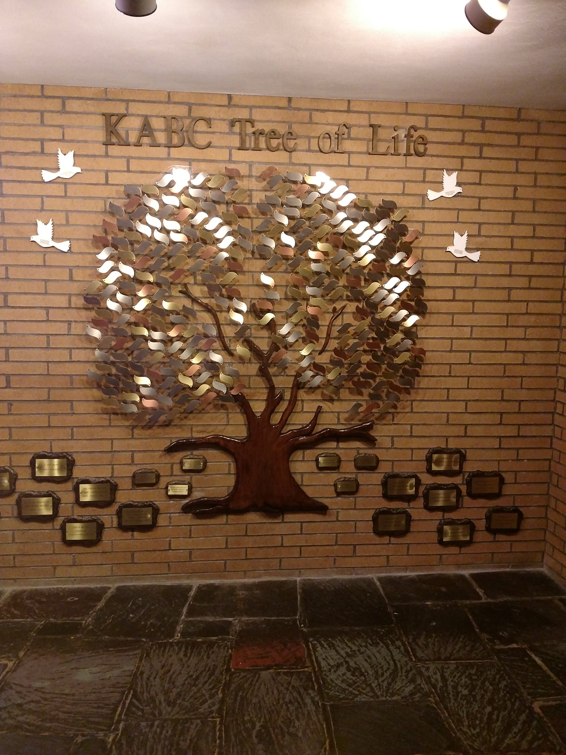 Kane ave baptist Tree Donor Tree
