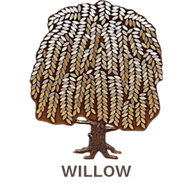 Donor Trees - Willow