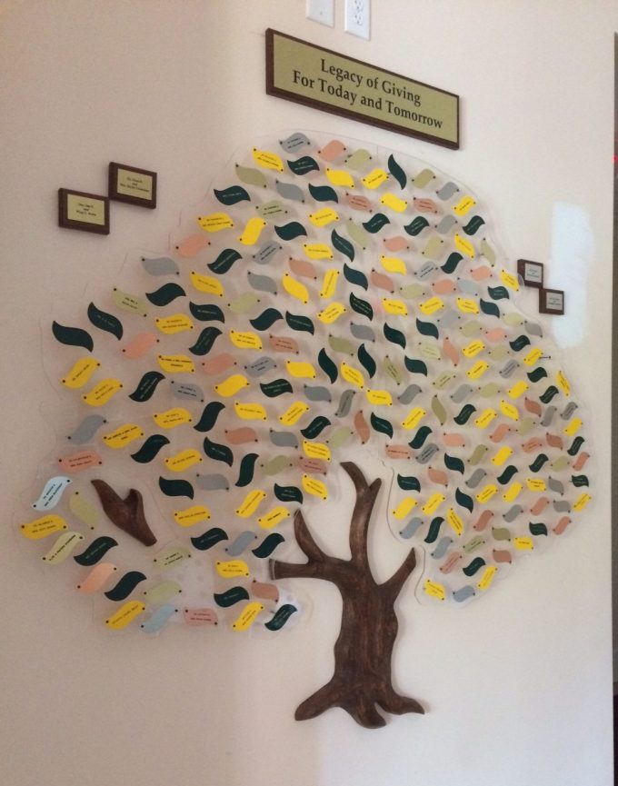 IMG_1059 Donor Tree