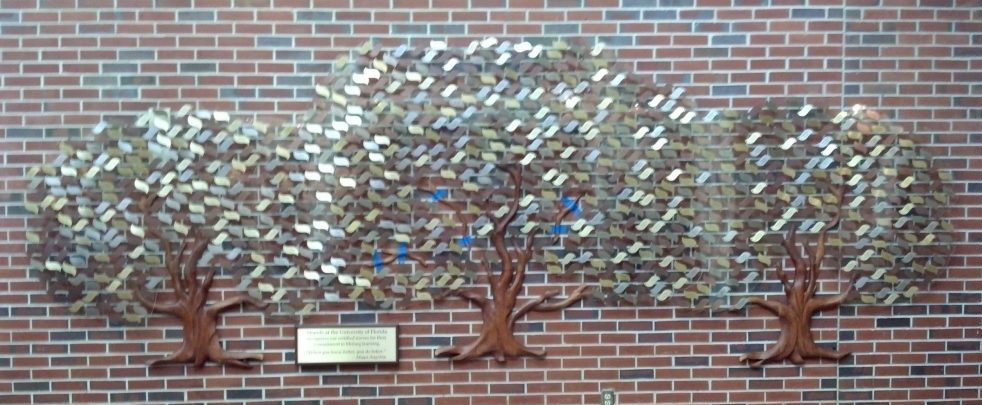 shands tree 1 Recognition Tree