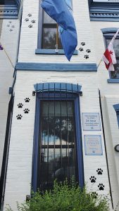 City Dogs & City Cats Signage